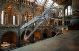 skip-the-line-tickets-for-museums