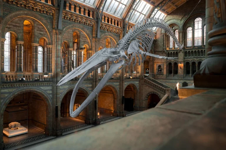 Skip-the-Line Tickets for London Museums: The Truth (2026)