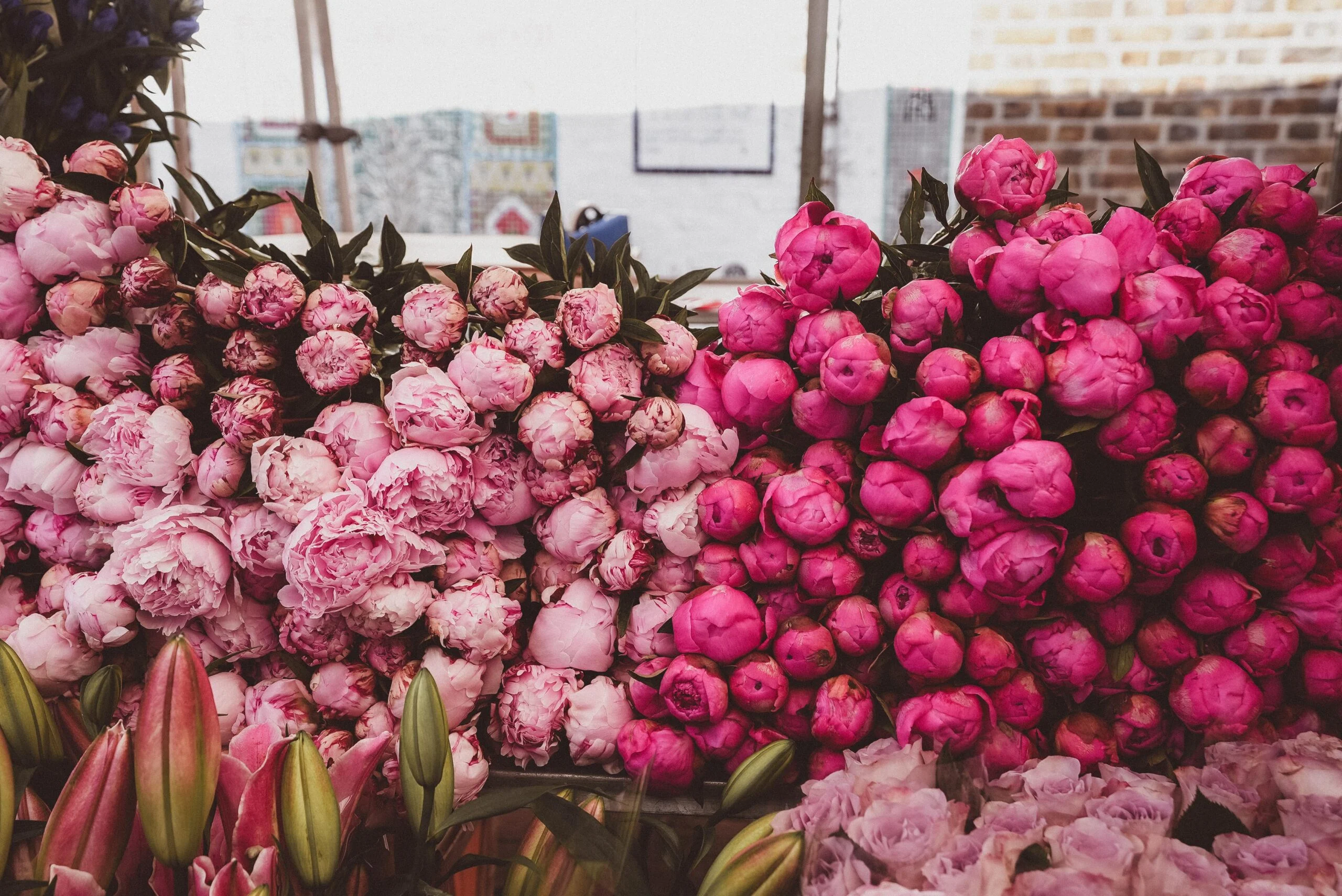 Columbia Road Flower Market in East London crowded with locals buying flowers on a Sunday morning.