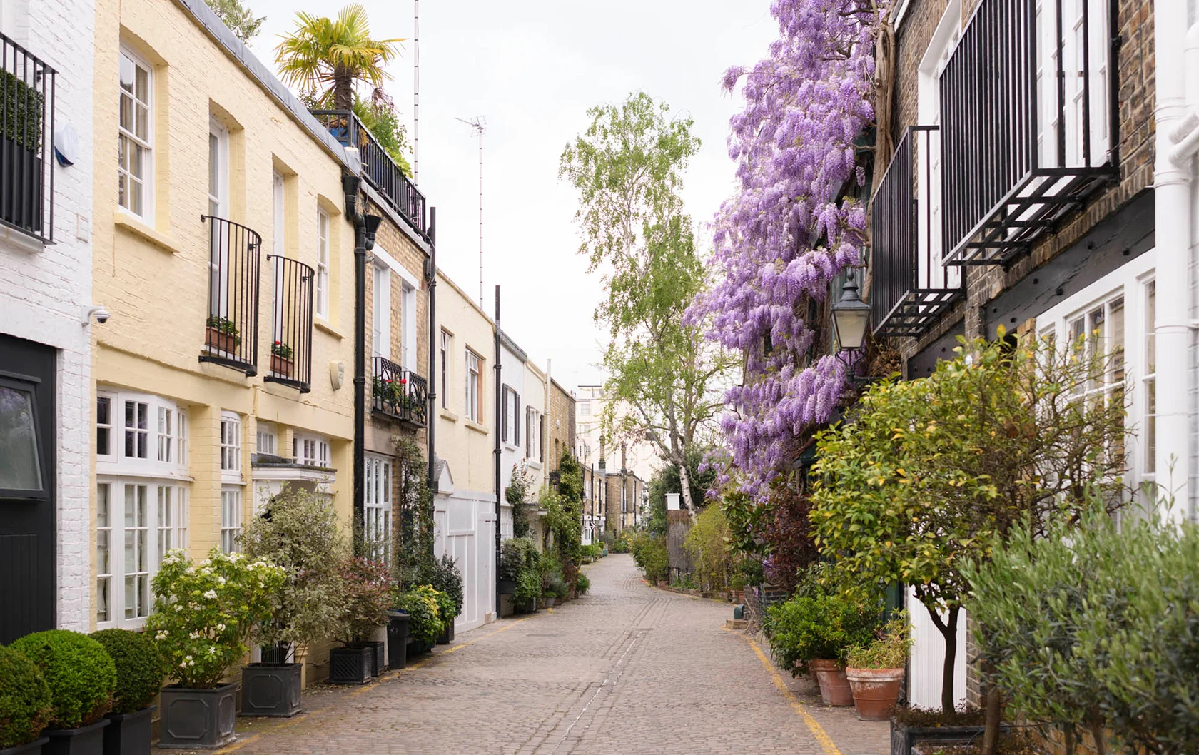 Cobblestone mews street in South Kensington with ivy climbing pastel Victorian houses at golden hour.