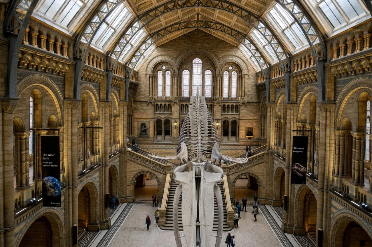The grand hall of the Natural History Museum in London