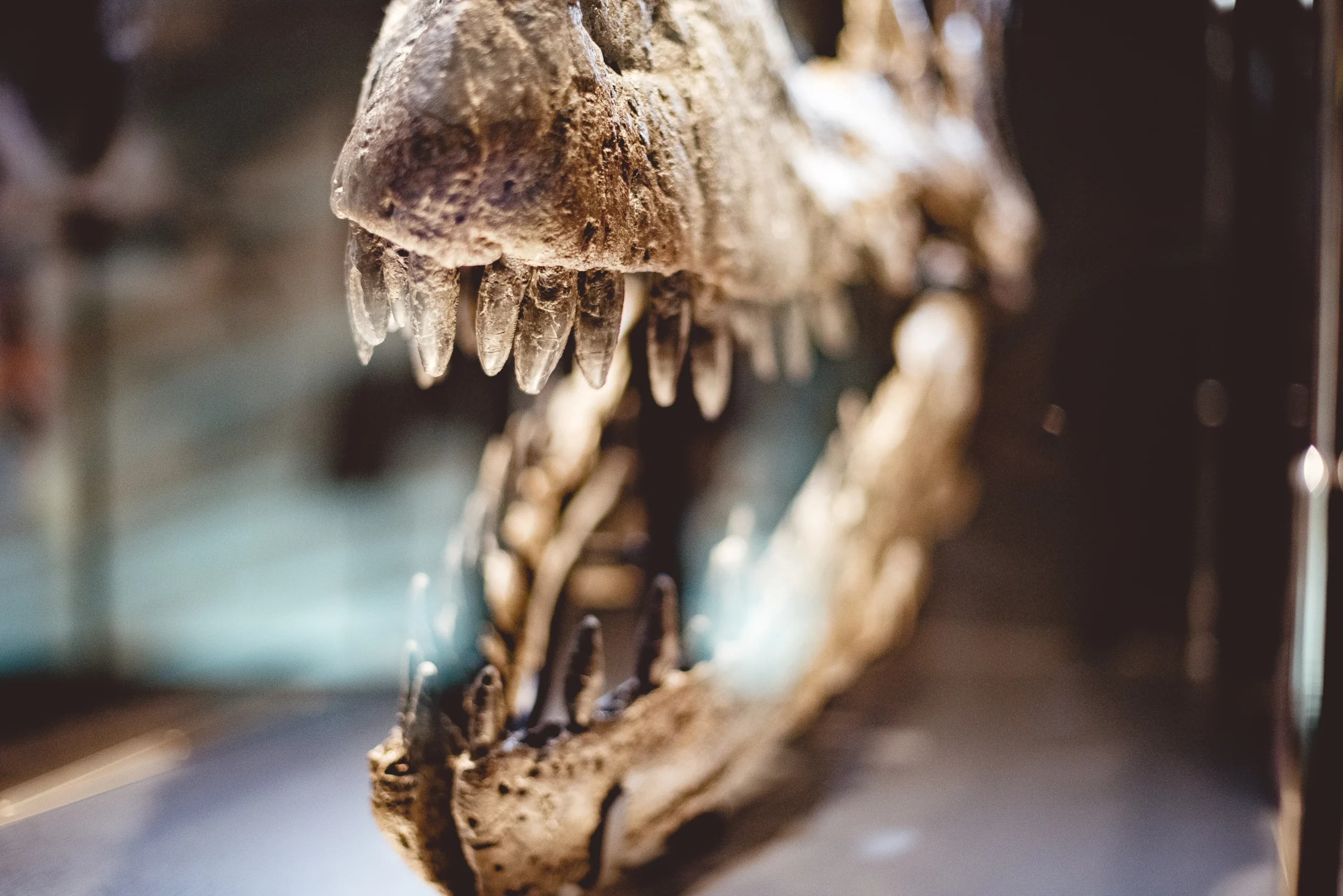 Die große Halle des Naturkundemuseums in London