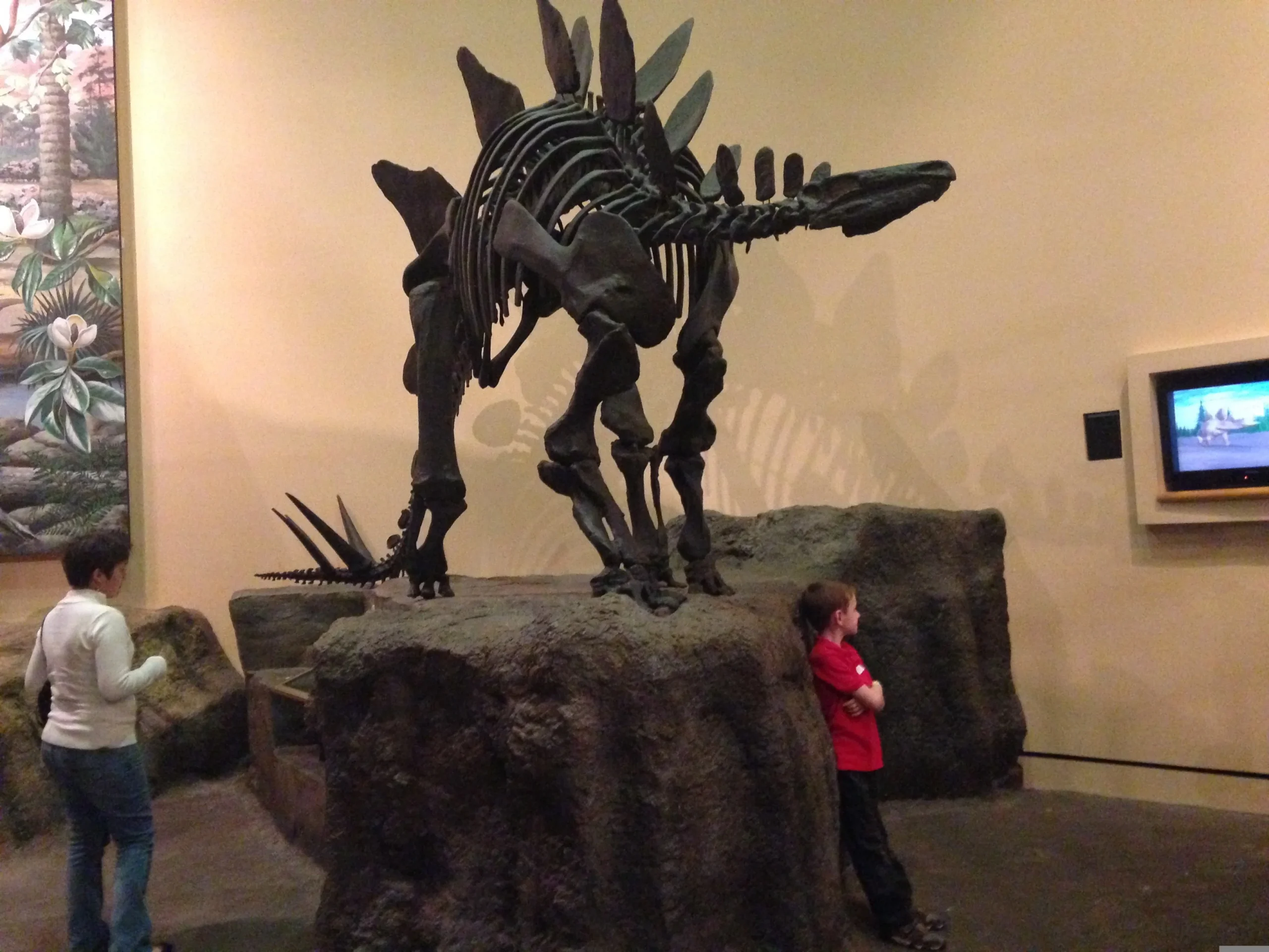 Children looking up at dinosaur skeleton in Natural History Museum main hall.