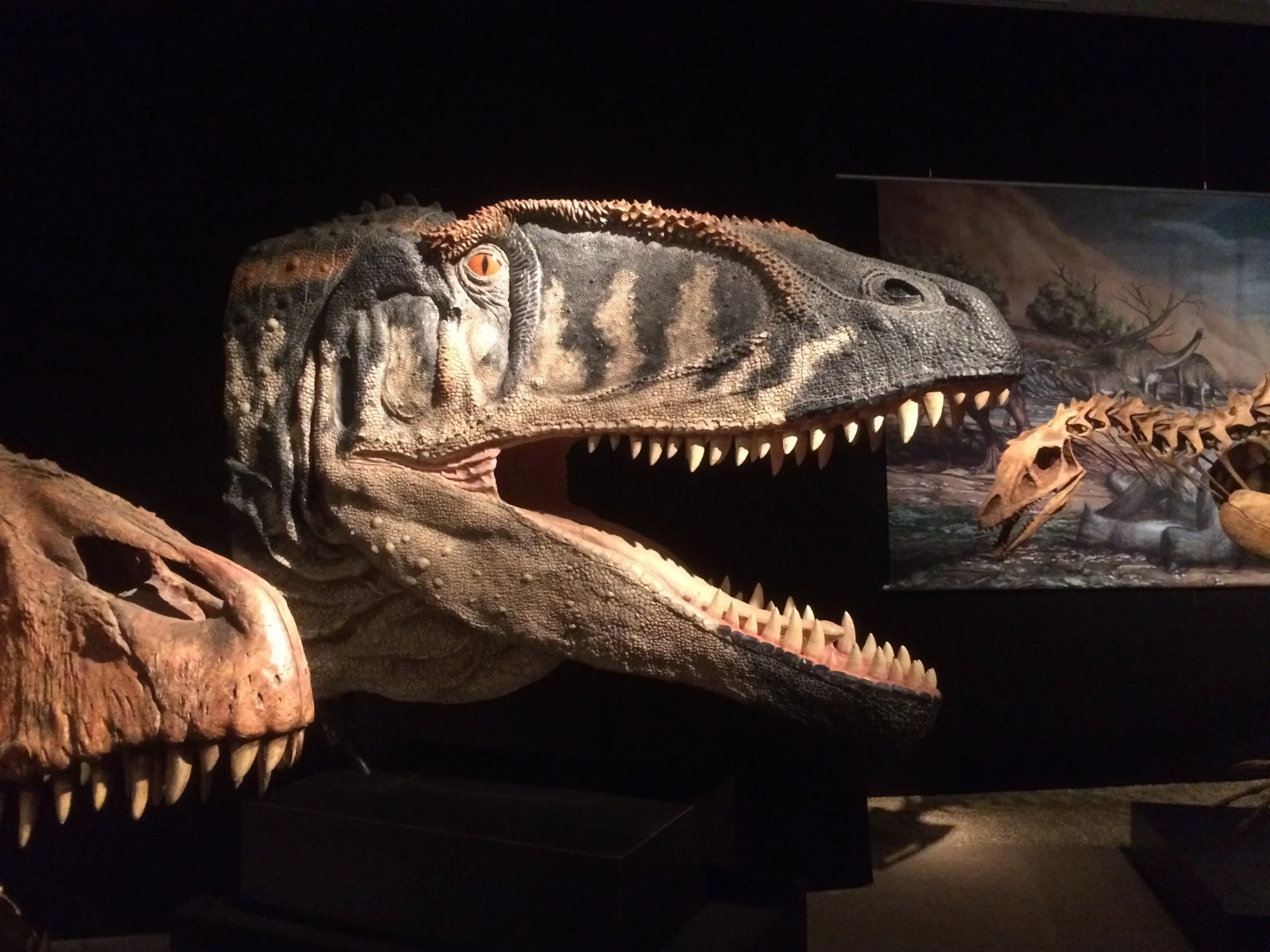 Das Naturkundemuseum in South Kensington, London