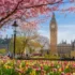 Best West End Shows in London 2026: Tickets & Guide